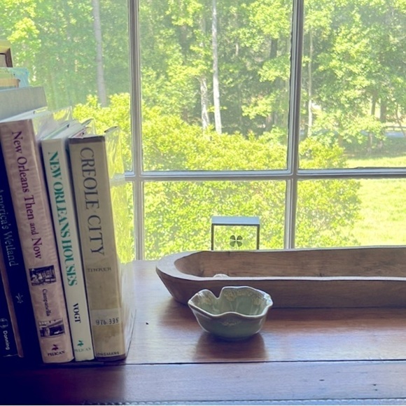 NEW Windowsill SUCCULENT 4" Anthropologie - Picture 10 of 13